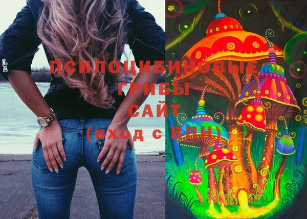 тгк Каменск-Шахтинский