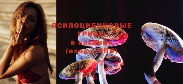 скорость mdpv Каменка