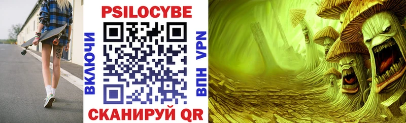 Псилоцибиновые грибы GOLDEN TEACHER  Купить закладки  Пушкино 